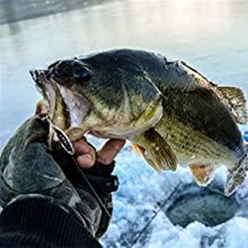 Fishing Boat Depth Finder - ABLB-카약 보트 어군탐지기 트랜스듀서 휴대용 어군탐지기
